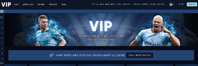 vip.png